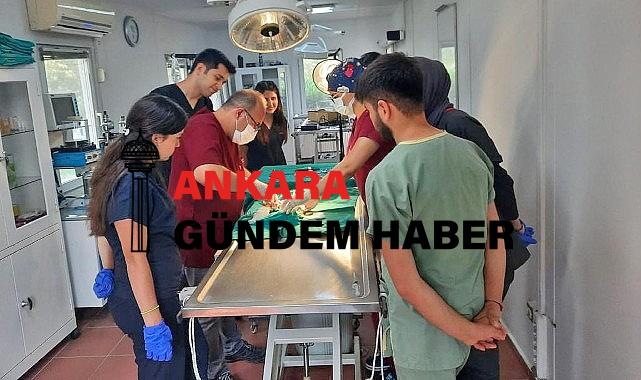 Osmangazi Belediyesi’nden Veteriner Fakültesi öğrencilerine uygulamalı eğitim