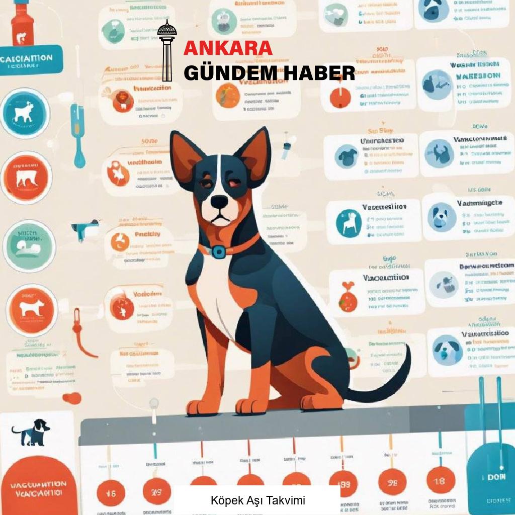 Köpek Aşı Takvimi