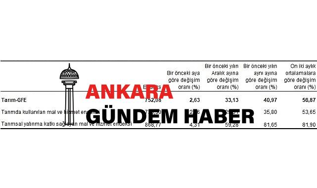 Tarımsal girdi fiyat endeksi (Tarım-GFE) yıllık yüzde 40,97, aylık yüzde 2,63 arttı