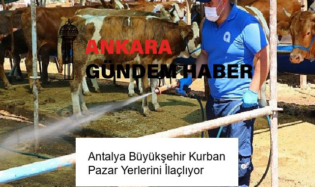 Antalya Büyükşehir Kurban Pazar Yerlerini İlaçlıyor