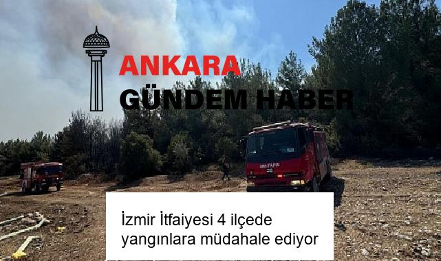 İzmir İtfaiyesi 4 ilçede yangınlara müdahale ediyor