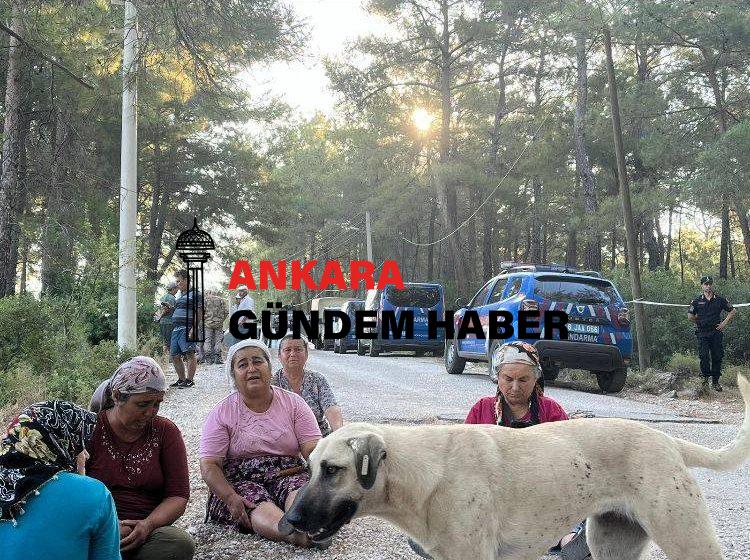 Akbelen Ormanında Direnen Köylülere Müdahale Devam Ediyor!