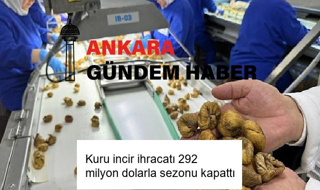 Kuru incir ihracatı 292 milyon dolarla sezonu kapattı