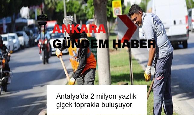 Antalya’da 2 milyon yazlık çiçek toprakla buluşuyor
