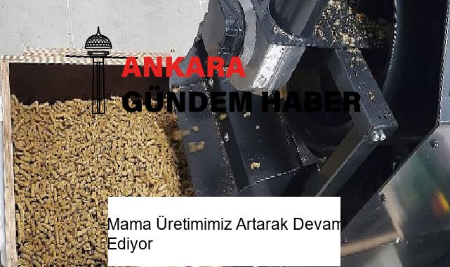 Mama Üretimimiz Artarak Devam Ediyor