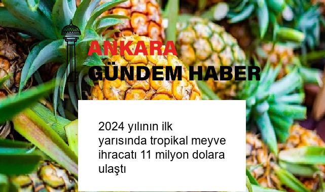 2024 yılının ilk yarısında tropikal meyve ihracatı 11 milyon dolara ulaştı