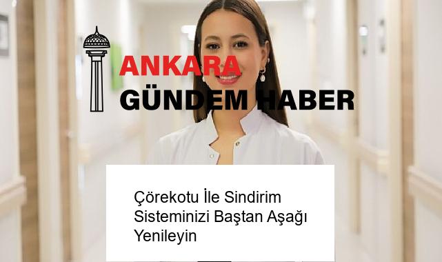 Çörekotu İle Sindirim Sisteminizi Baştan Aşağı Yenileyin