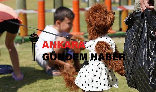 Çeşmeli can dostlar Fest Pati’de buluştu