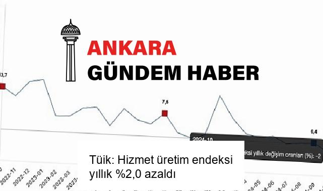 Tüik: Hizmet üretim endeksi yıllık %2,0 azaldı