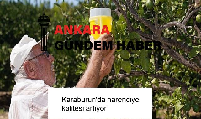 Karaburun’da narenciye kalitesi artıyor