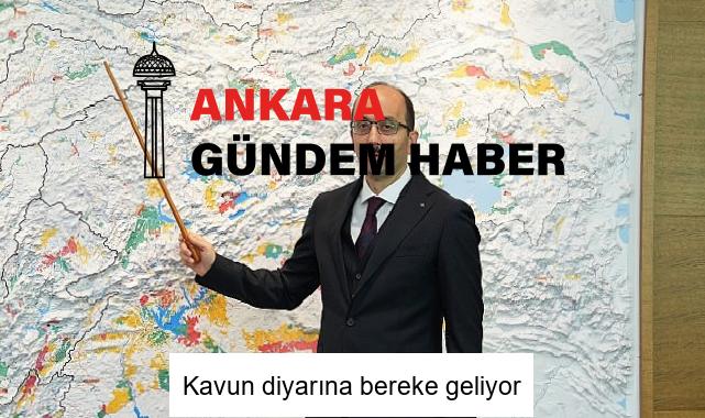 Kavun diyarına bereke geliyor
