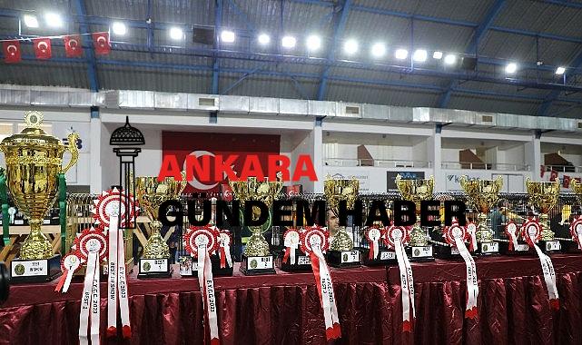 Dünyanın En Büyük Kanarya Yarışması Edremit’te