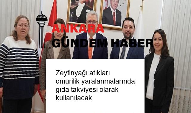 Zeytinyağı atıkları omurilik yaralanmalarında gıda takviyesi olarak kullanılacak