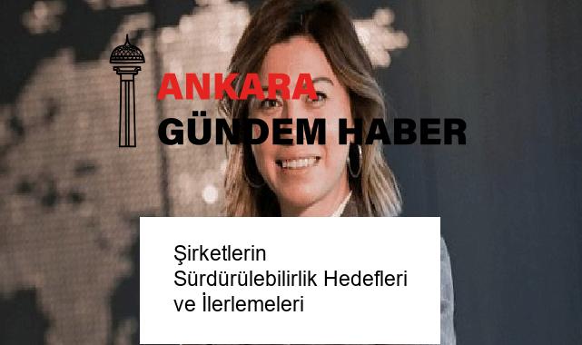 Şirketlerin Sürdürülebilirlik Hedefleri ve İlerlemeleri