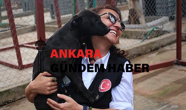 Karşıyaka Belediyesi, can dostlara huzurlu bir hayat sunuyor