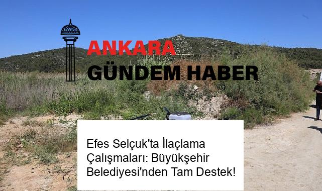Efes Selçuk’ta İlaçlama Çalışmaları: Büyükşehir Belediyesi’nden Tam Destek!