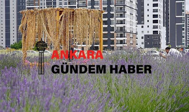 Başkan Altınok fotoğrafçıları Lavanta ve Gül bahçesine davet etti 