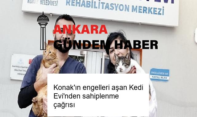 Konak’ın engelleri aşan Kedi Evi’nden sahiplenme çağrısı