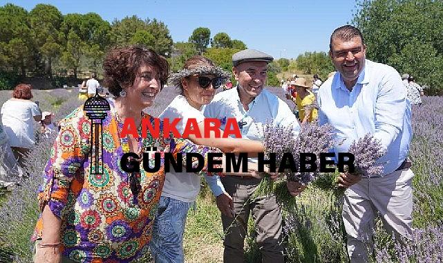 Seferihisar’da mis kokulu festival