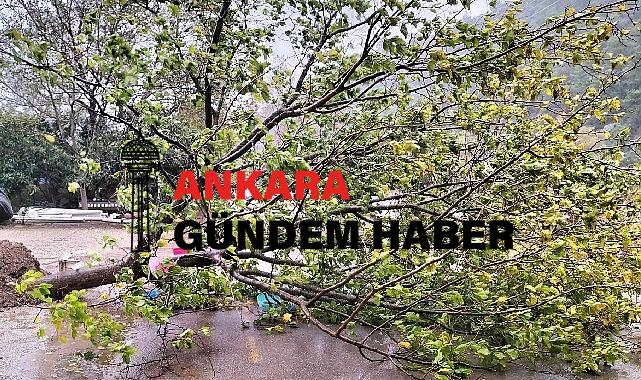 Kemer Belediye ekipleri teyakkuzda