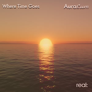 Where Time Goes