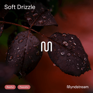 Soft Drizzle