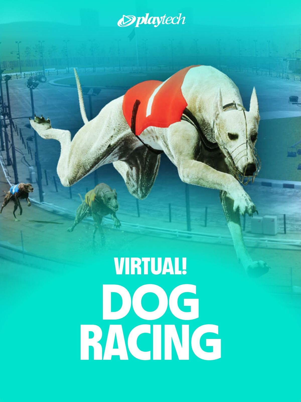 Virtual! Dog Racing
