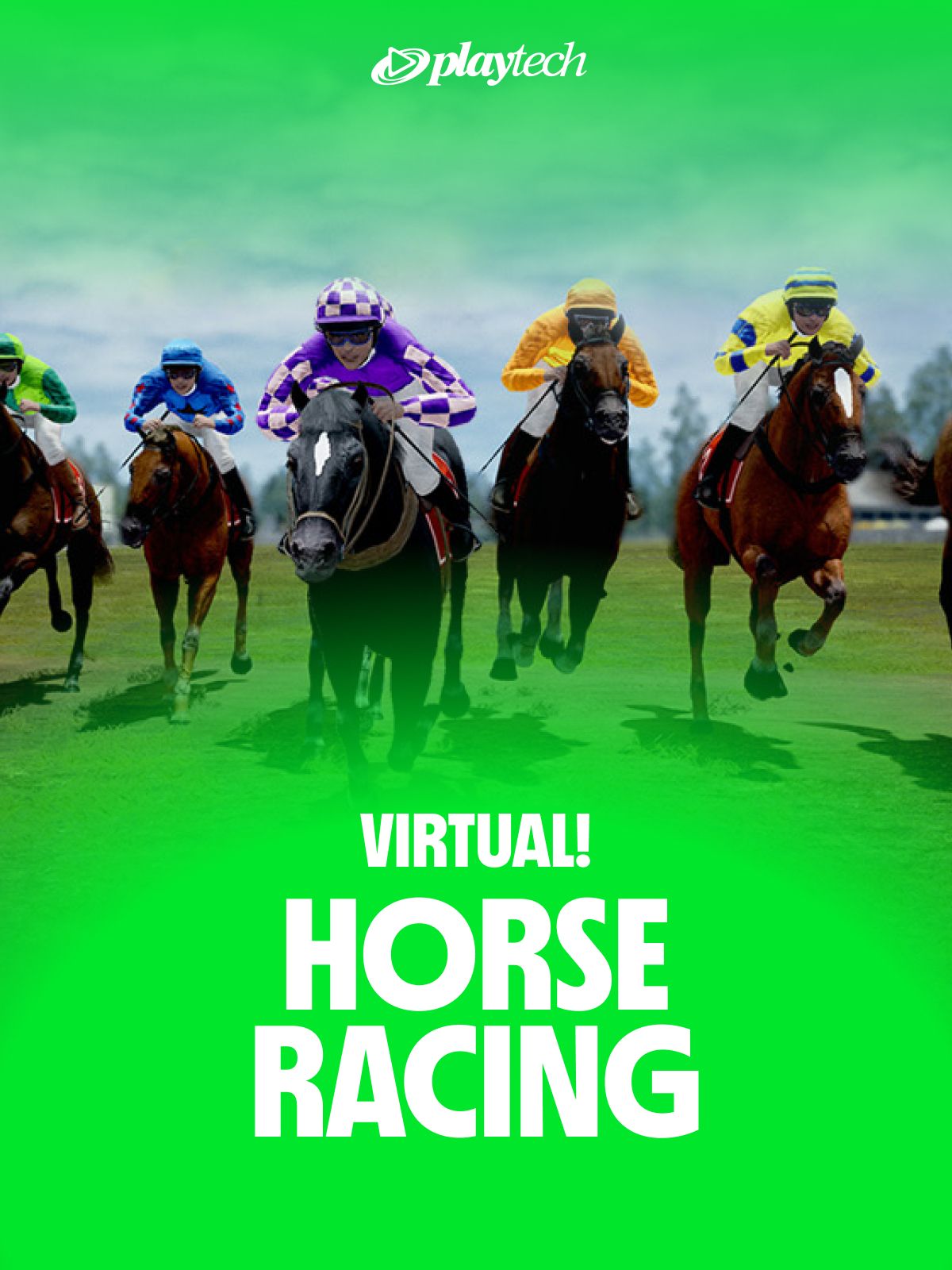 Virtual Horse Racing