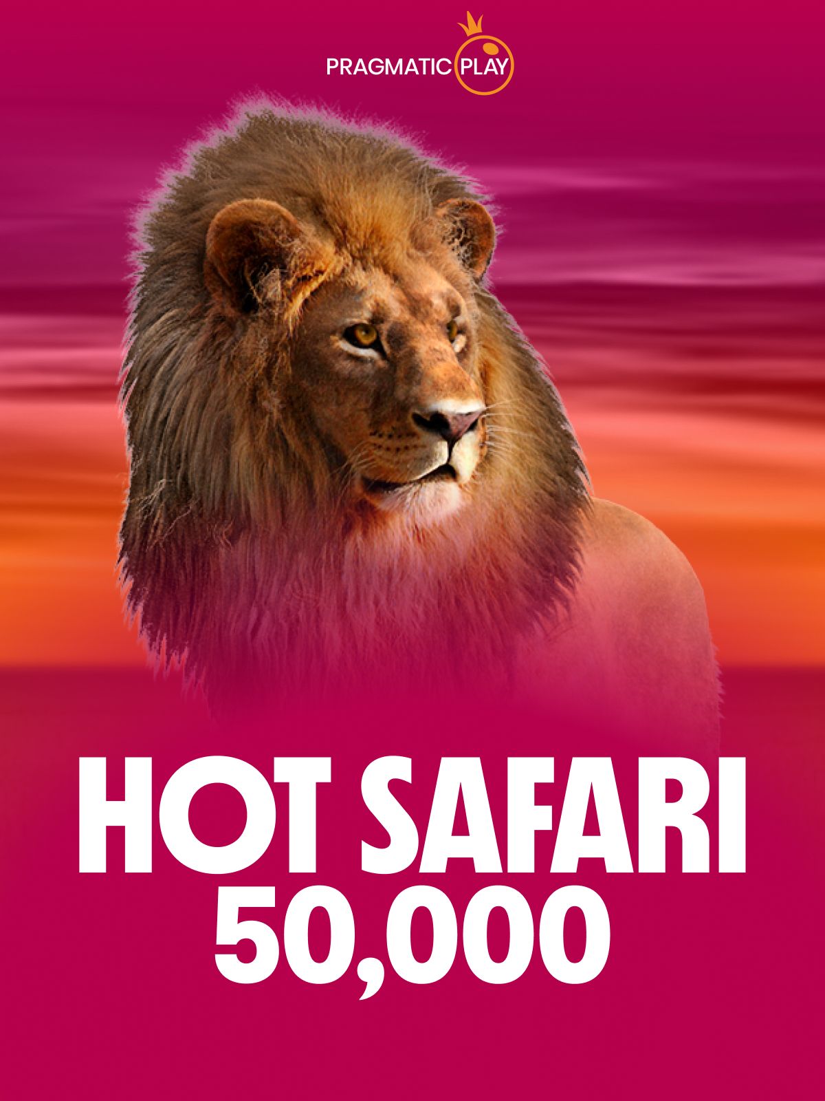 Hot Safari 50,000
