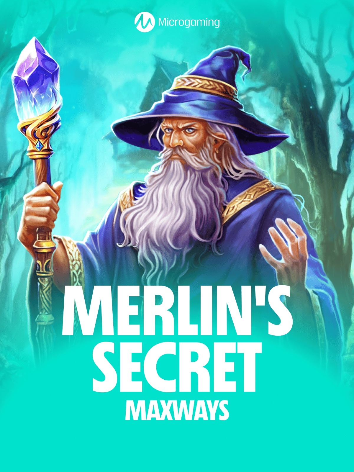Merlin's Secret Maxways