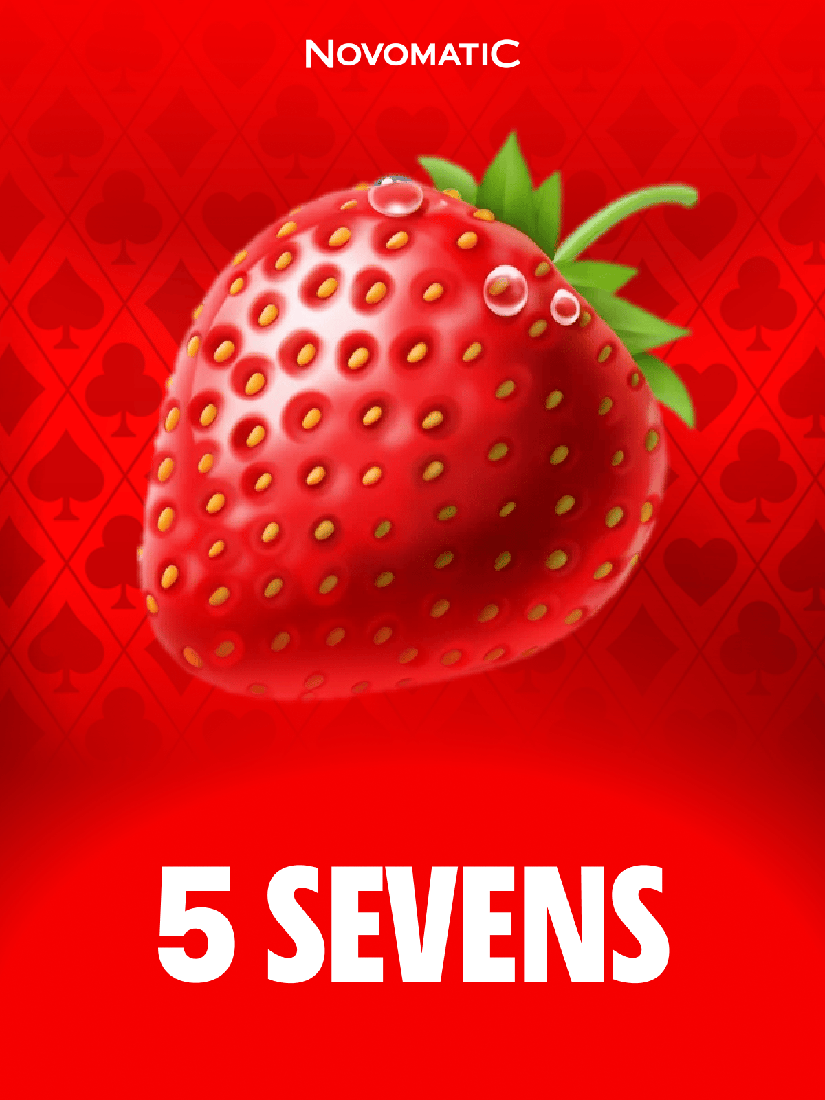 5 Sevens