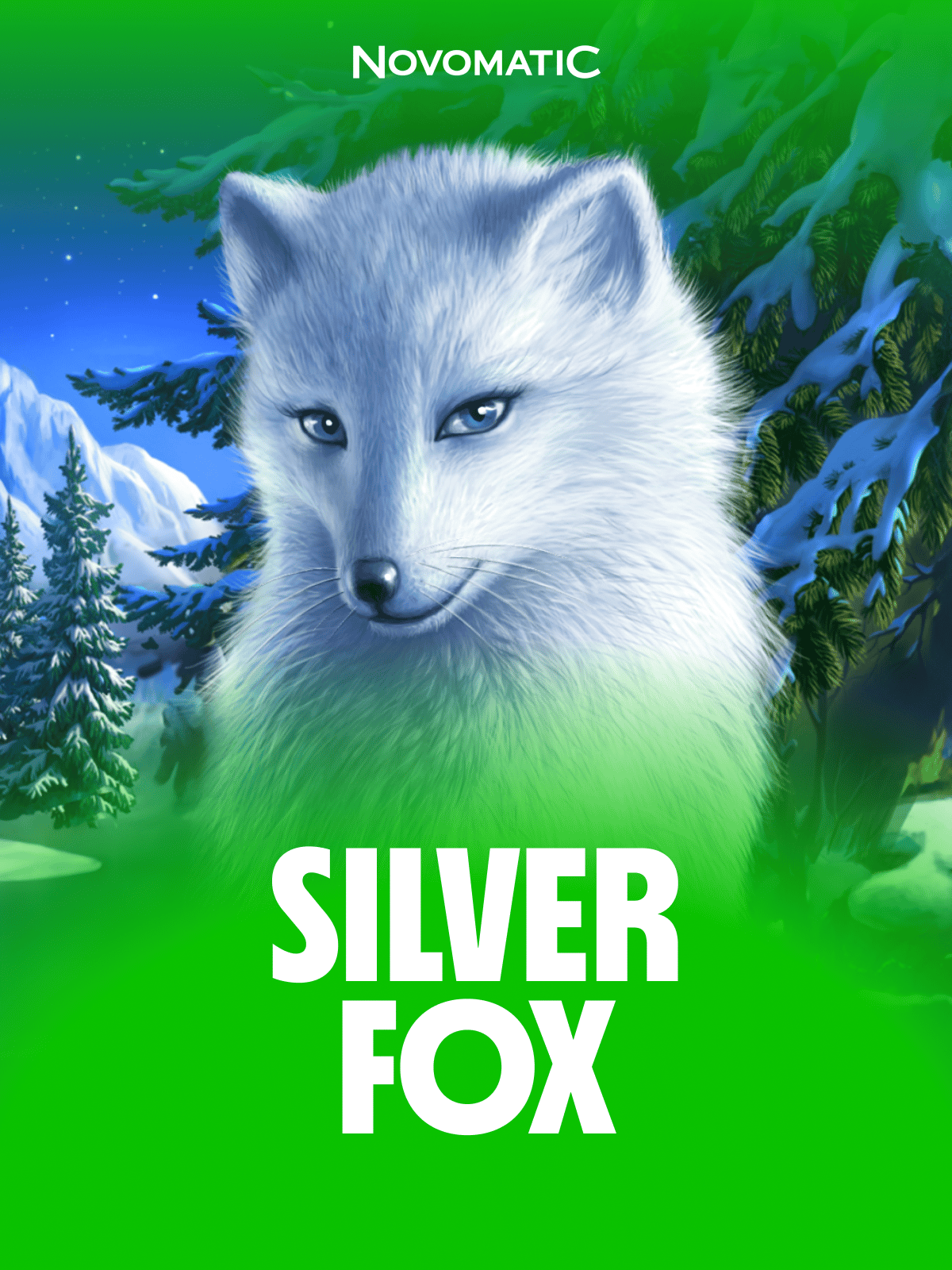 Silver Fox