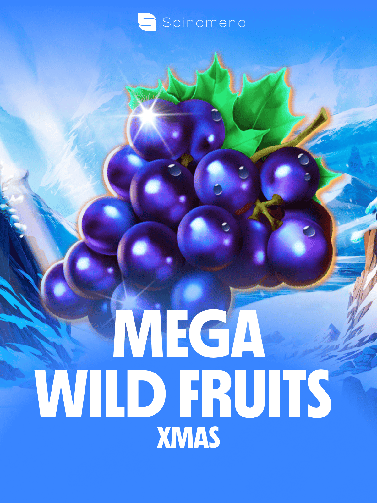 Mega Wild Fruits - Xmas