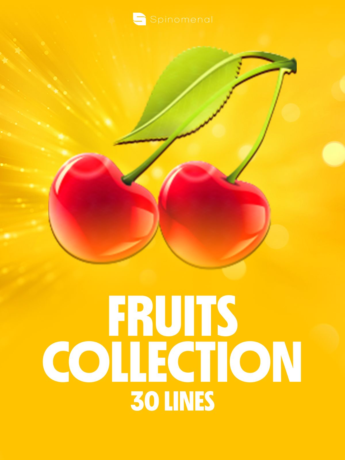 Fruits Collection 30 Lines