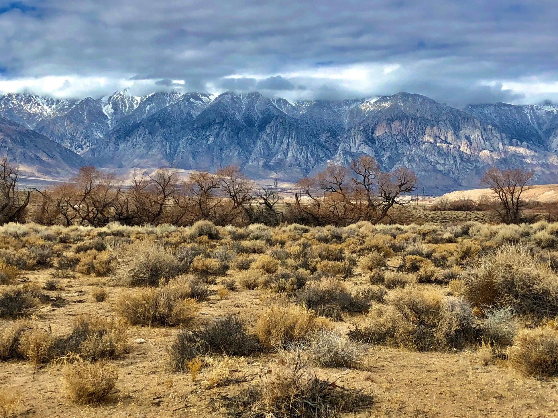 Madera County real estate