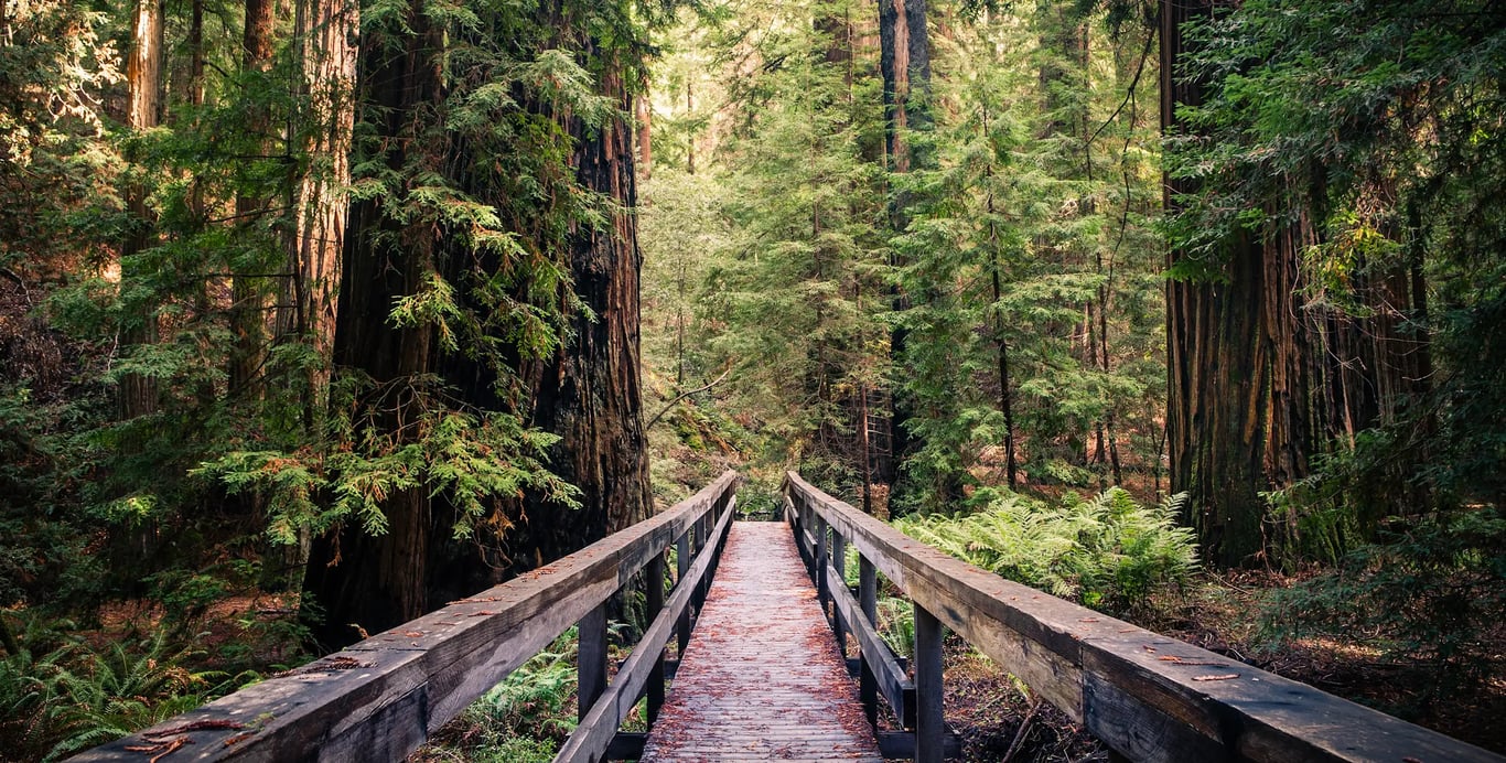 Mendocino County real estate