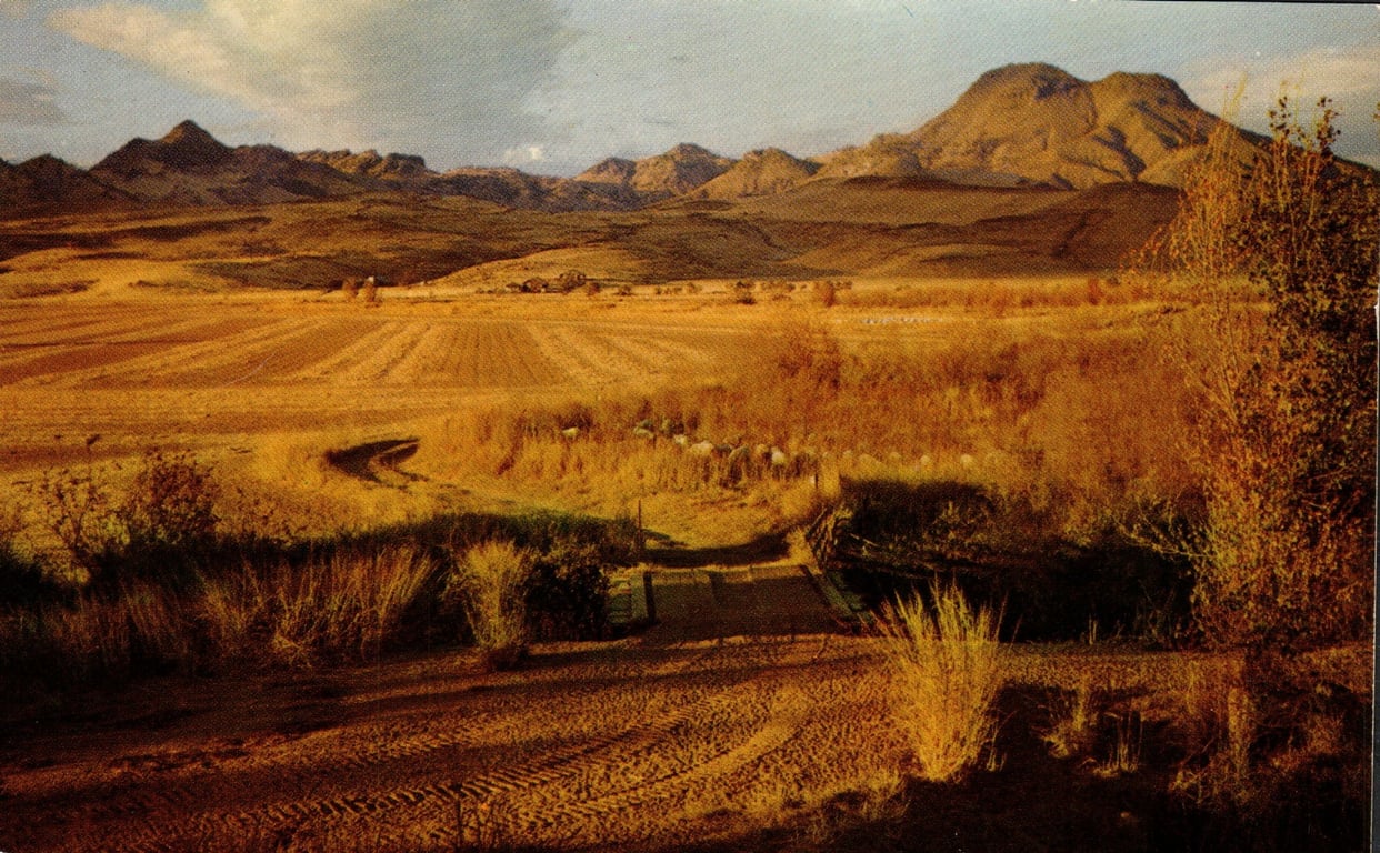 Sutter County real estate