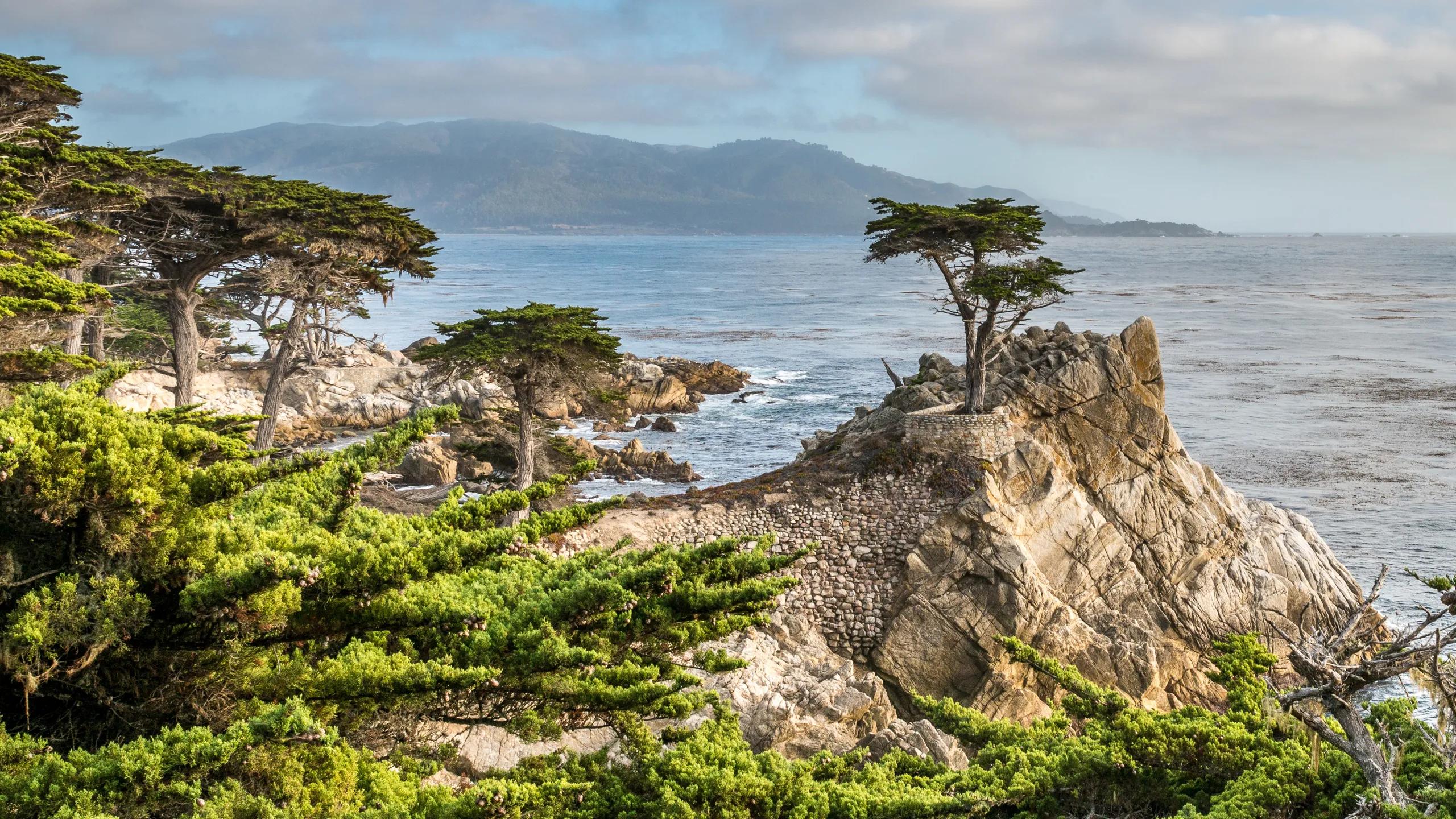 California real estate