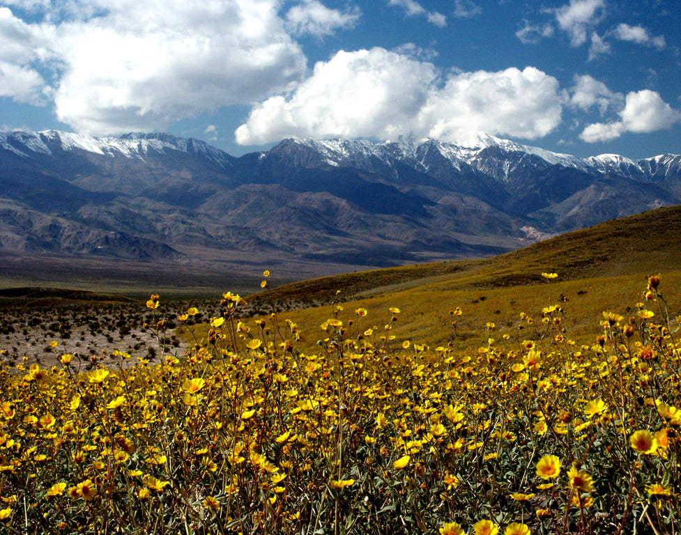 Inyo County real estate
