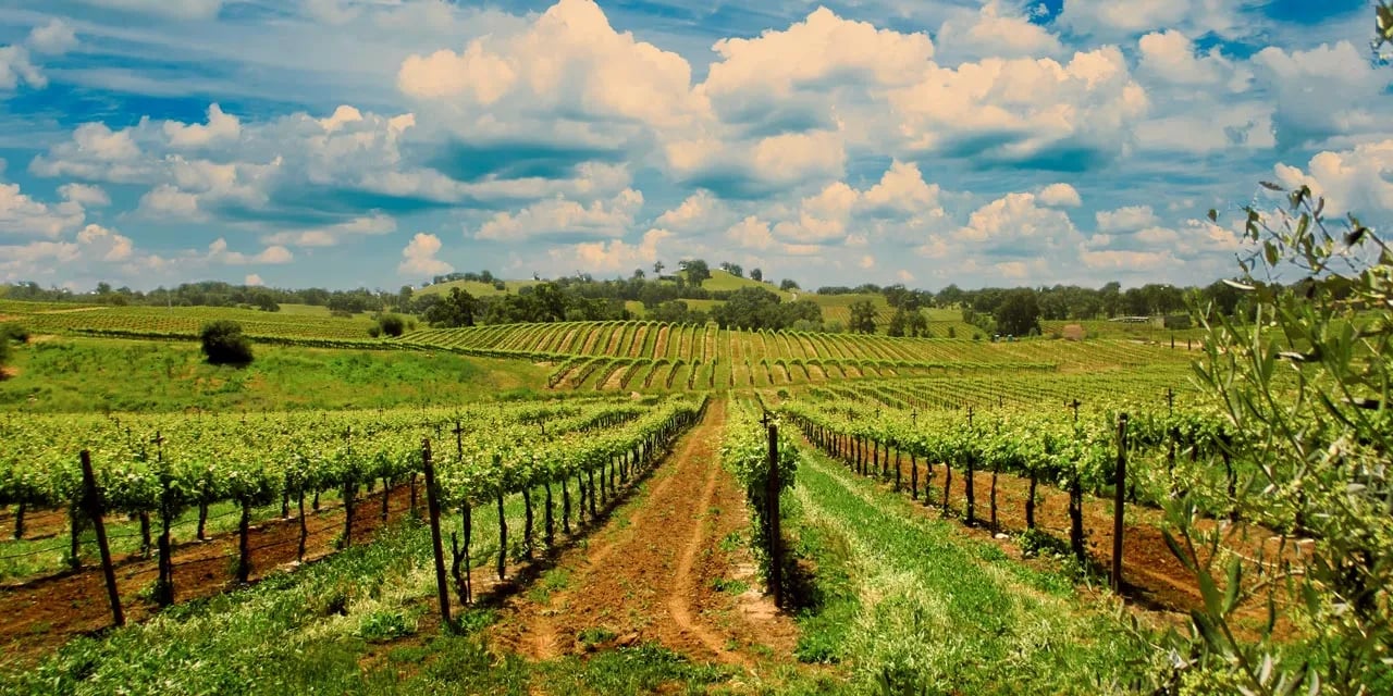 Amador County real estate