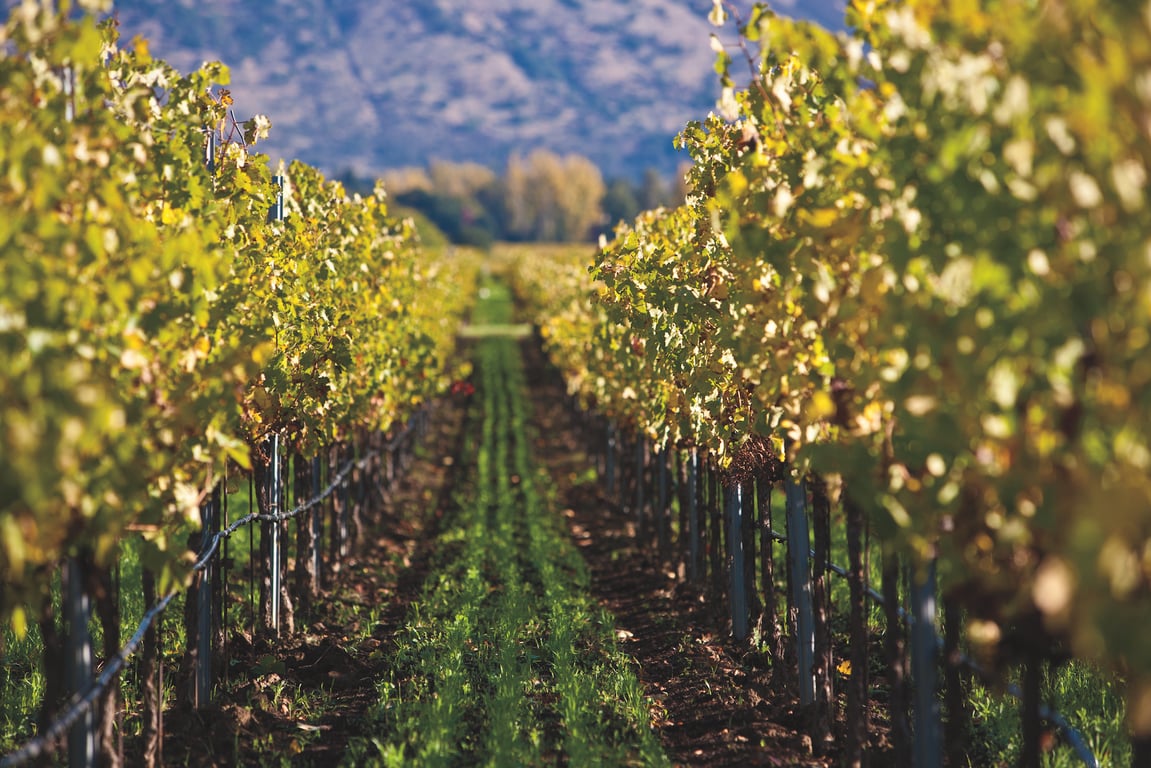 Yuba County real estate