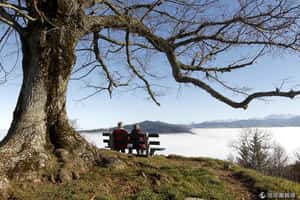 失蹤75年的瑞士夫婦  在全球暖化「幫助」下找到了