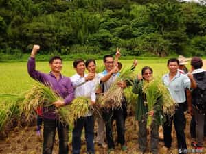 種米護石虎 保育新模式