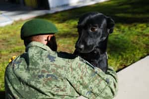 【地球 24小時】07/14  給牠一個家