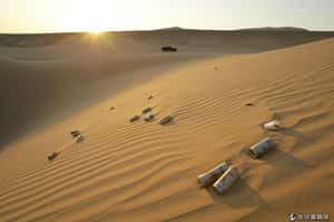 馬利政府與反抗軍握手言和