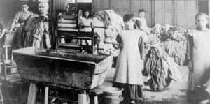 「美其名是收容所，實際上就像監獄」  愛爾蘭「抹大拉洗衣房」黑歷史