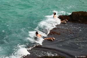 11月熱浪襲捲澳洲  海灘泳池全擠爆
