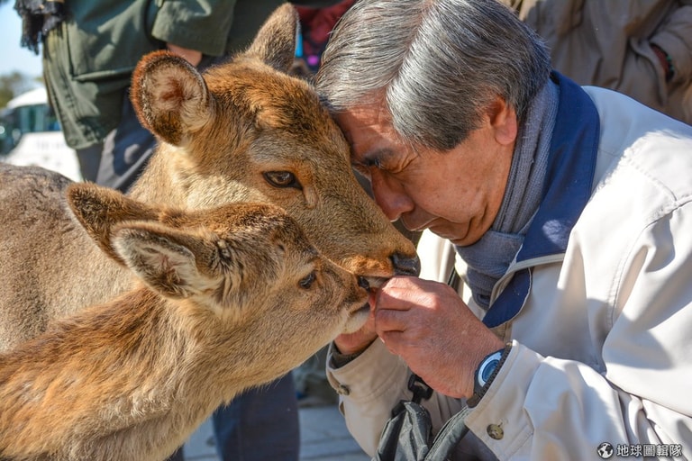 文章插圖