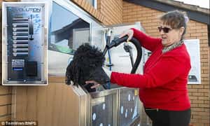 英國海灘 替髒狗狗設洗澡機