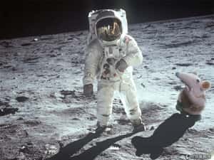 NASA: 10年內人類將接觸外星生物